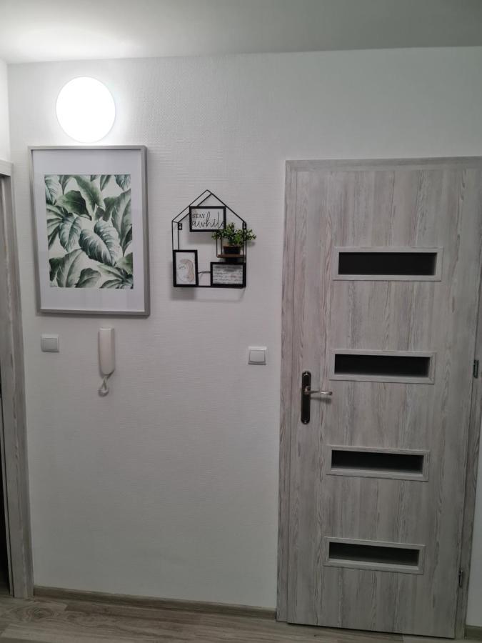 Apartament Nova Przy S3 Nowa Sol Buitenkant foto